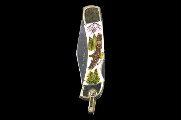 Scrimshaw Soaring Eagle Design Colored Scrimshaw Collection Small Pocket Knife.  Etched, Bovine Bone