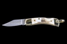 Scrimshaw Tall Ship Design Scrimshaw Collection Small Pocket Knife  Etched, Bovine Bone