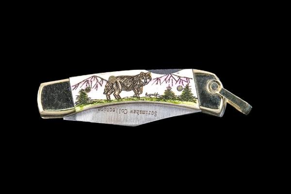 Scrimshaw Wolf Design Colored Scrimshaw Collection Small Pocket Knife Etched, Bovine Bone