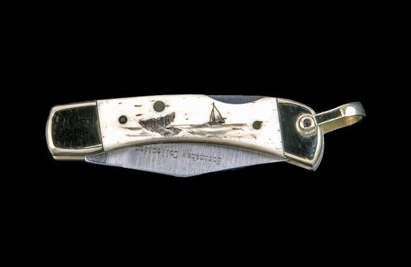 Scrimshaw Ship and Whale Design Scrimshaw Collection Small Pocket Knife, Bovine Bone