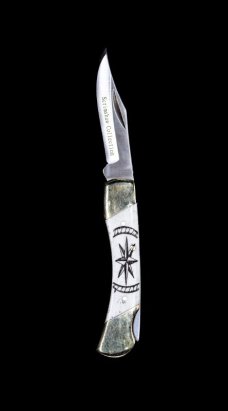 Etched Compass Rose Design Scrimshaw Collection Medium Pocket Knife, Bovine Bone