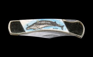 Scrimshaw Humpback Whale Colored Design Scrimshaw Collection Medium Pocket Knife Bovine Bone