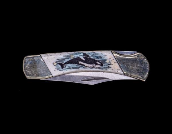 Scrimshaw Ship and Lighthouse Design Colored Scrimshaw Collection on Bovine Bone Medium Pocket Knife