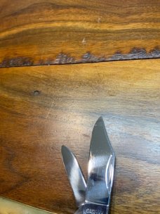 Case XX 1999 APPALOSA BONE A620009½  Barlow 