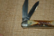 Case Red Letter Scroll XX Stainless USA Stag 52087 SSP