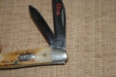 Case Red Letter Scroll XX Stainless USA Stag 52087 SSP