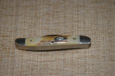 Case Red Letter Scroll XX Stainless USA Stag 52087 SSP