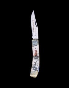 Hand Etched Ship and Whale Colored Ink Design Scrimshaw Collection on Bovine Bone Large Pocket Knife