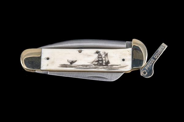 Scrimshaw Ship and Whale Design Scrimshaw Collection Marlin Spike with Folding Knife