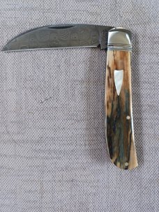 David R. Davis Mammoth ivory Damascus Swayback,closed 4.25" ..fluted...vine filework..MOP shield 