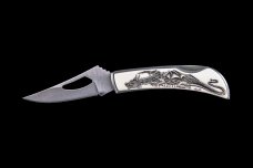 Eco-Ivory Etched Dragon Stainless Steel Silver Hawk Knife
