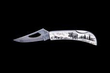 Eco-Ivory Etched Moose Stainless Steel Silver Hawk Knife 