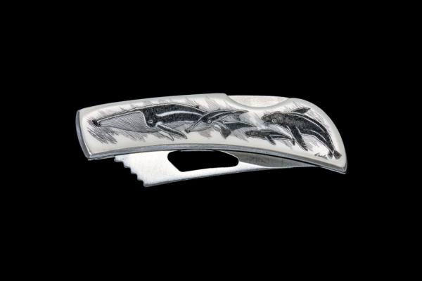 Scrimshaw Humpback Whale and Calf Stainless Steel Silver Hawk Knife