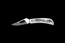 Scrimshaw Humpback Whale and Calf Stainless Steel Silver Hawk Knife