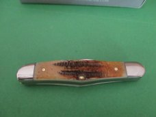 Case XX 2021 Bone Stag 1/2 Whittler Pattern # 6.5208