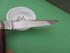 Great Eastern 2018 Dixie Possum Elderberry Bone Pattern # 828218