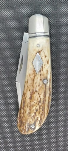 Cesar Maidel Stag Lanny Clip...14C28N...4" closed..Domed pins..stainless hardware..leather pouch 