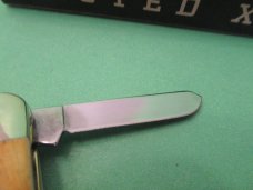 Case XX 2021 Bone Stag Stockman Pattern # 6.5318SS