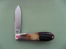 TUNA VALLEY OLD MAN NORMAN AMBER STAG