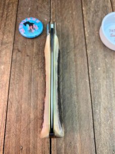Great Eastern Cutlery Northfield 74 Mustang Sambar Stag 2020