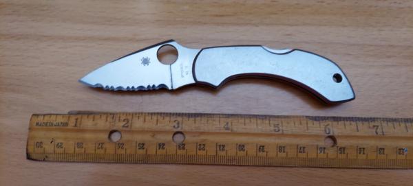 Spyderco Dragonfly Stainless C28S Pocket Knife Spyderco Dragonfly Stainless C28S Pocket Knife