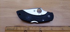 Spyderco Dragonfly C28BK