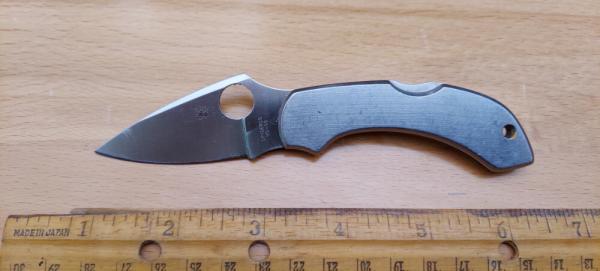 Spyderco Dragonfly Stainless C28 Pocket Knife
