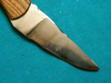 CUSTOM F HAIRE SUNRAY TX  SKINNER HUNTING SKINNING FIXED BLADE SURVIVAL NECK KNIFE KNIVES SHEATH