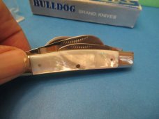 Bulldog Brand Pearl Congress 