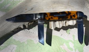 Calf Roper Tortoise Shell Acrylic GEC Great Eastern Northfield 661317 NEW