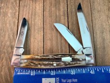 Schatt and Morgan Stockman Stag