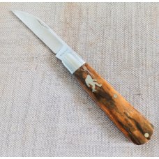 Jeffrey Mitchell Swayback Mammoth Ivory with CPM-154375quot clsdSmooth scales Special Shield
