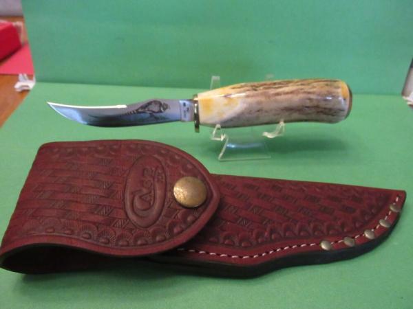 Case XX Stag Fixed Blade Pheasant Model # 523 3 1/4 SSP Case XX Stag Fixed Blade Pheasant Model # 523 3 1/4 SSP
