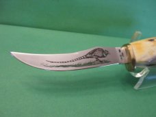 Case XX Stag Fixed Blade Pheasant  Model # 523 3 1/4 SSP