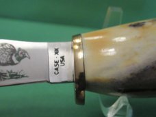 Case XX Stag Fixed Blade Pheasant  Model # 523 3 1/4 SSP