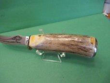 Case XX Stag Fixed Blade Pheasant  Model # 523 3 1/4 SSP