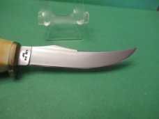 Case XX Stag Fixed Blade Pheasant  Model # 523 3 1/4 SSP