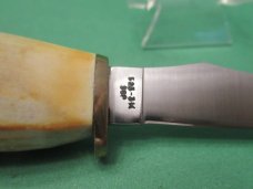 Case XX Stag Fixed Blade Pheasant  Model # 523 3 1/4 SSP