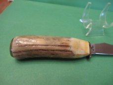Case XX Stag Fixed Blade Pheasant  Model # 523 3 1/4 SSP
