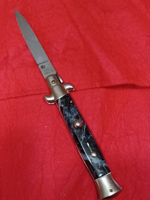 Frank B.  Switch kit. Short blade for German market.