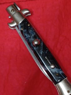 Frank B.  Switch kit. Short blade for German market.