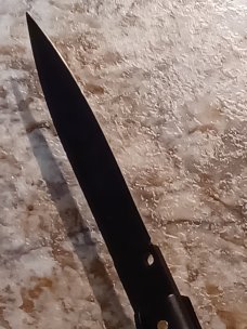 Frank B.  Switch Model Tactical.