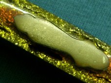 VINTAGE FIGHTING ROOSTER WOLVERINE 039 FRANK BUSTER FANCY PILLBUSTER FOLDING POCKET KNIFE KNIVES OLD