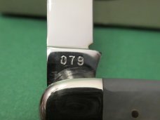 Case XX 1978 Pearl Shad Pattern # 82079