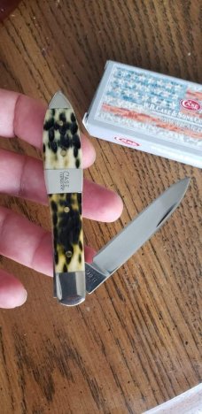 Case xx TB61028 SS,Olive Green Bone Peach Seed Jig Teardrop knife