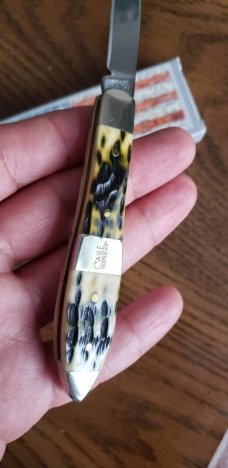 Case xx TB61028 SS,Olive Green Bone Peach Seed Jig Teardrop knife