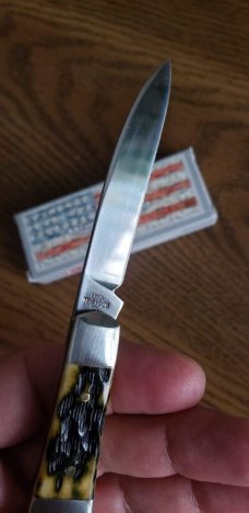 Case xx TB61028 SS,Olive Green Bone Peach Seed Jig Teardrop knife