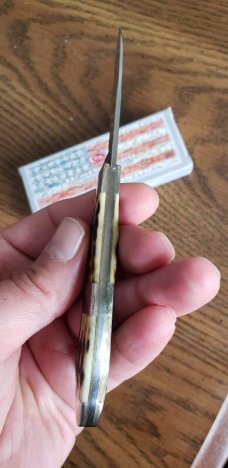 Case xx TB61028 SS,Olive Green Bone Peach Seed Jig Teardrop knife