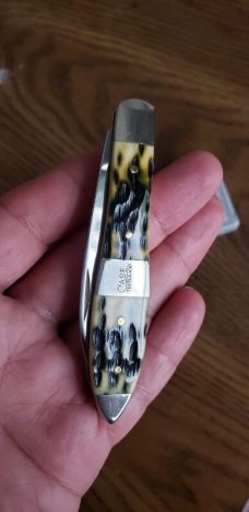 Case xx TB61028 SS,Olive Green Bone Peach Seed Jig Teardrop knife