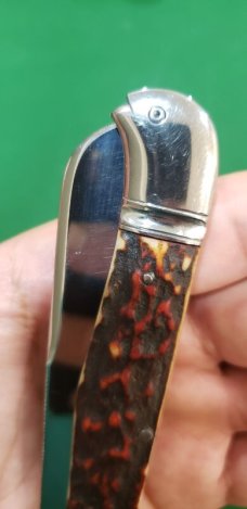 4 1/2"  Custom Made Bird's Head Bolster Knife, Premium stag handle **New Year Sale**